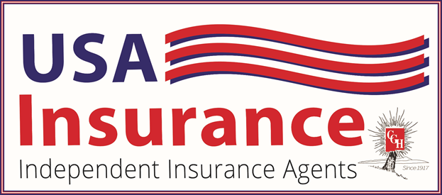 USA Insurance Logo
